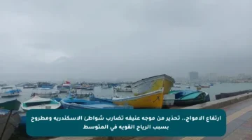 ارتفاع الأمواج.. تحذير من موجة عنيفة تضارب شواطئ الإسكندرية ومطروح بسبب الرياح القوية في المتوسط